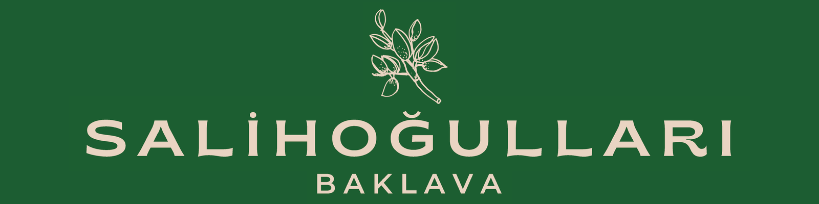 salihogullari-logo